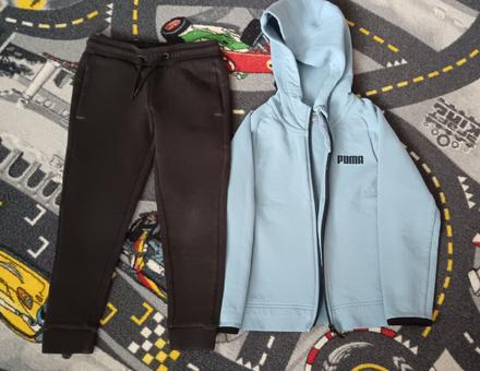 Pumova suprava, puma,116