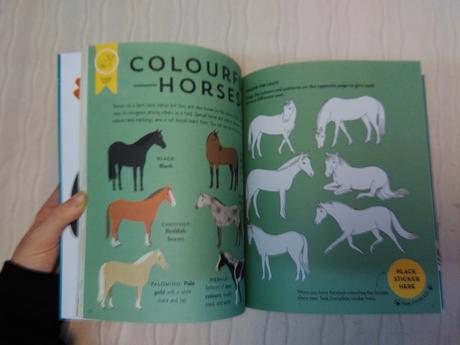 Pilot academy nwi18,