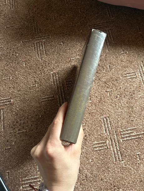 Deník michelangela blázna,