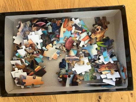 Dinosaury 3d puzzle, 
