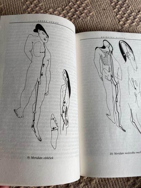 Krížovka života autor jonáš josef,