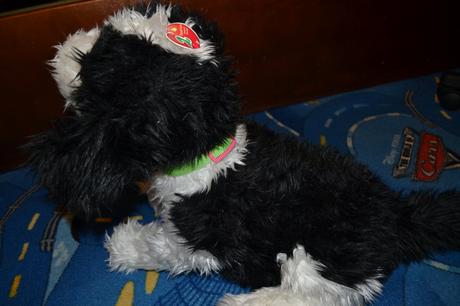 Plysovy psik,knuci,havka...,