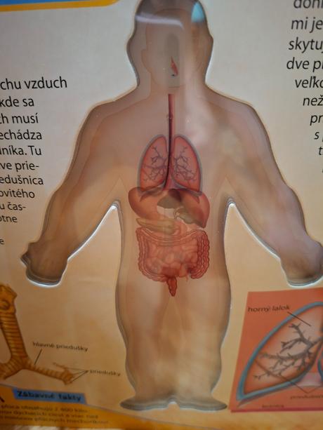 Objavujeme 3d ľudské telo interaktívna kniha s p, 