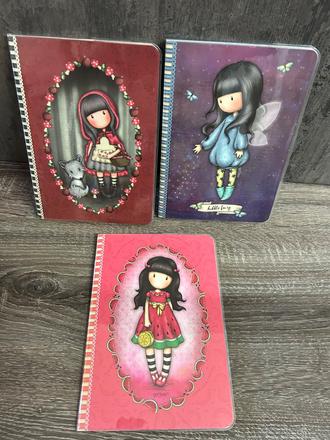 Santoro dievcenske zosity,zapisniky,