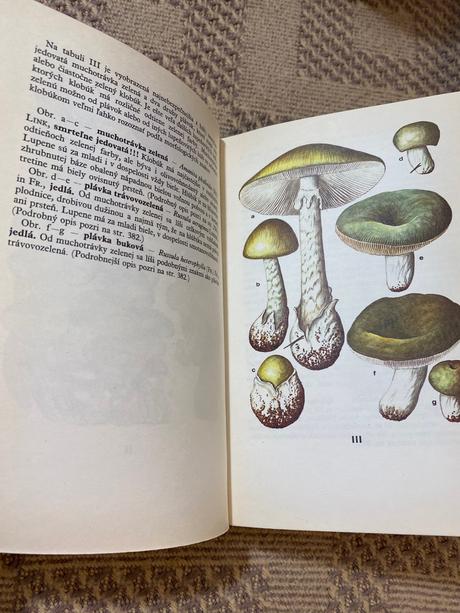 Krásny a praktický atlas húb aurel dermek, 