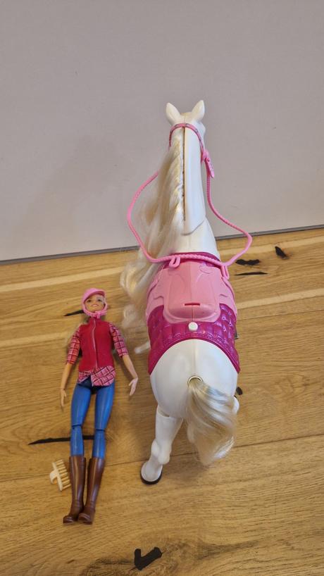 Mattel babika barbie a interaktivny kon dreamhorse, 