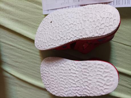 Rak papučky, rak,21