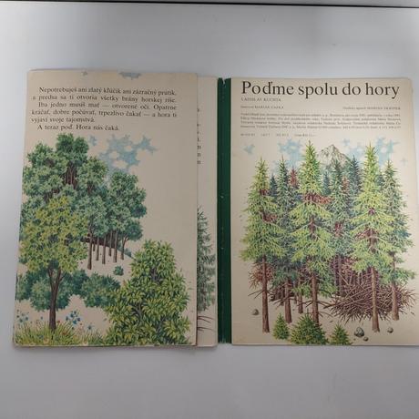 Poďme spolu do hory, 