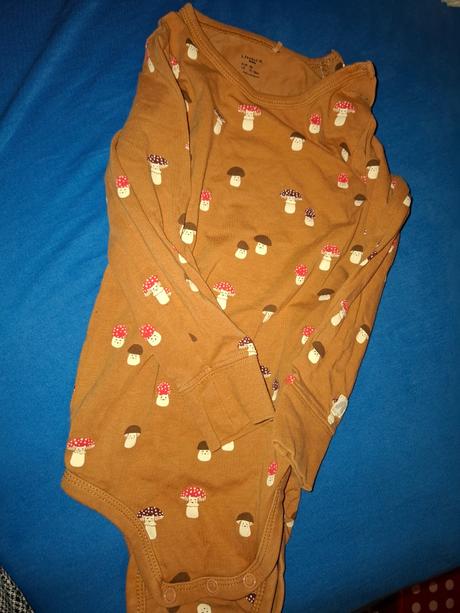 Body hriby rastuce, lindex,86