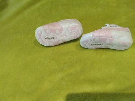 Capacky puma, puma,<17