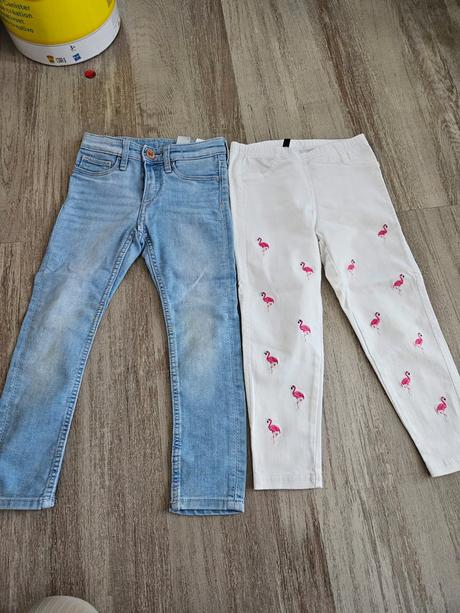 Nohavice s plameniakom, 104