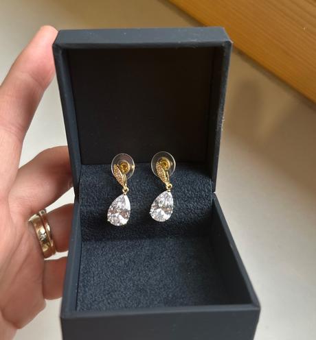 Spolocenske nausnice, 