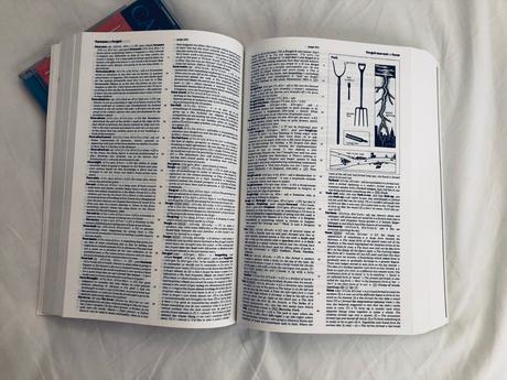 Cambridge international dictionary of english s cd,