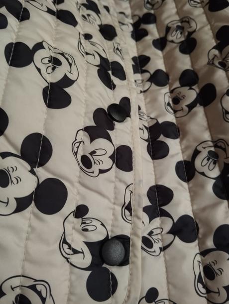 Vesta mickey, disney,98