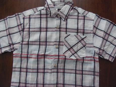 Košela, palomino,98