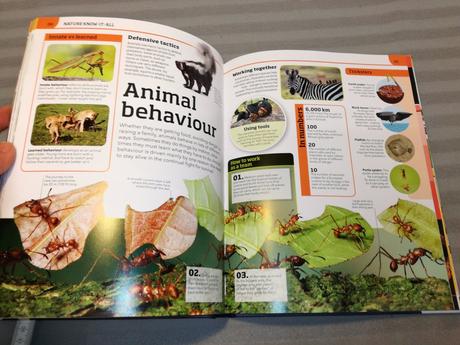 Dk general knowledge genius su22, 