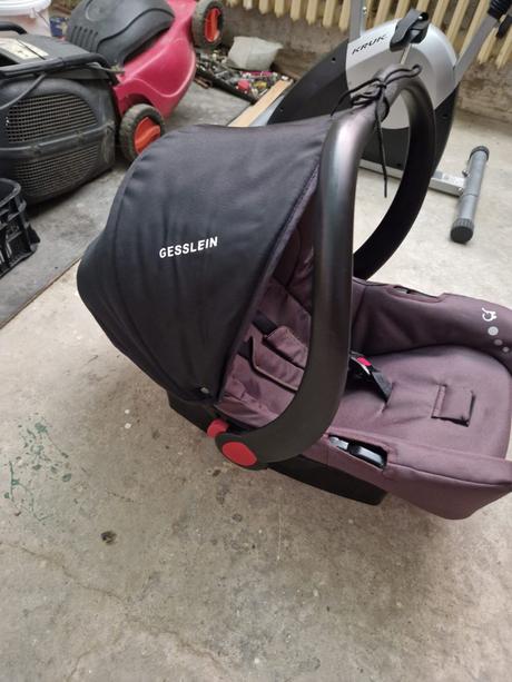 Predam vajicko zn gesslein, gesslein