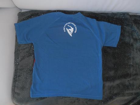 Chlapčenské tričko č.116, items,116