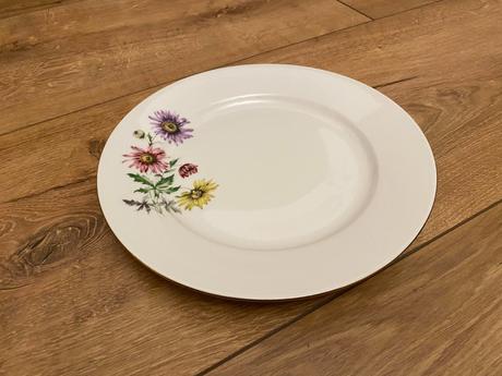 Plytký tanier ditmar urbach, 