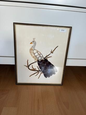 Obraz páva z motýlich krídel,