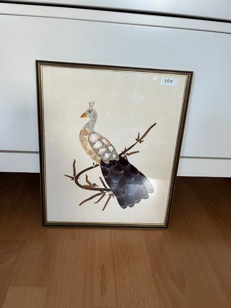 Obraz páva z motýlich krídel, 