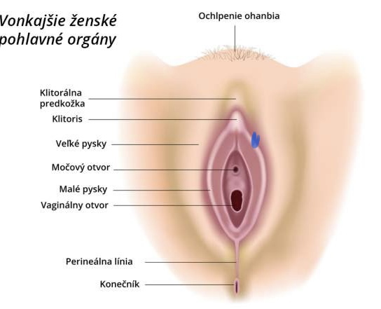 Bolesť a jemné svrbenie v intímnych častiach
