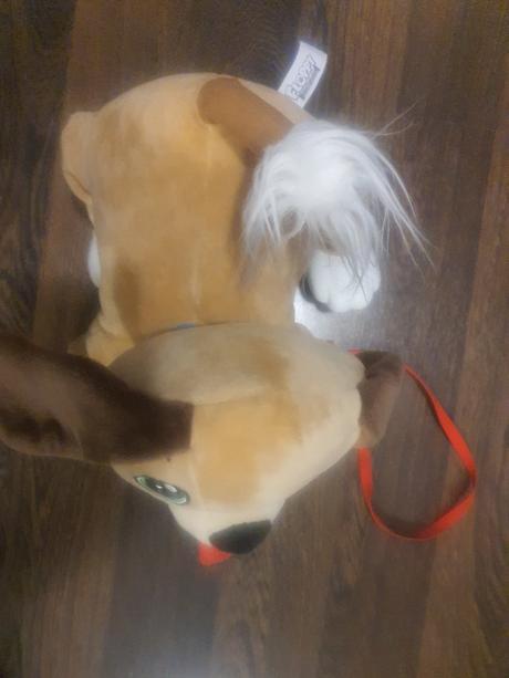 Floppy pes - osobny odber, 