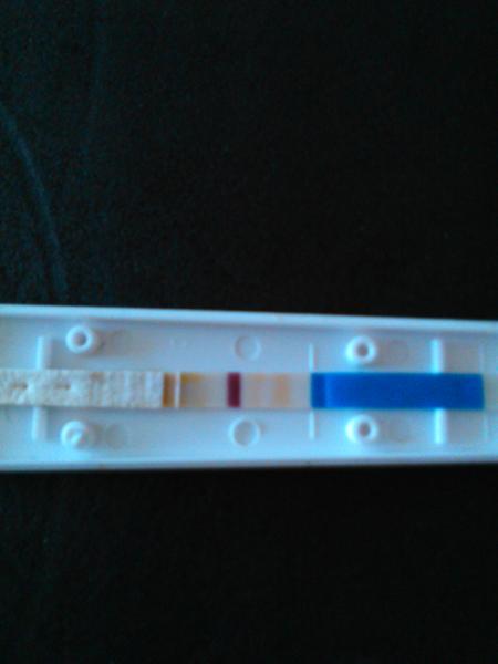 Test, menšie špinenie a pobolievanie bruška. Poradíte?