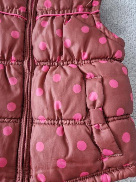 Vesta teplejsia, next,104