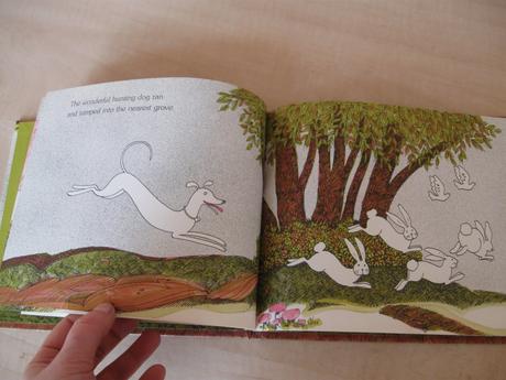 Knižka the wonderful hunting dog,