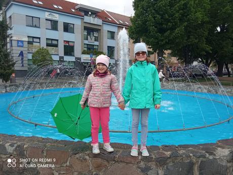 Rifle, best basics,146