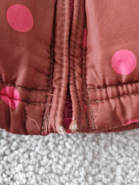 Vesta teplejsia, next,104