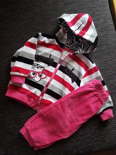 Teplakova suprava zebra, 80