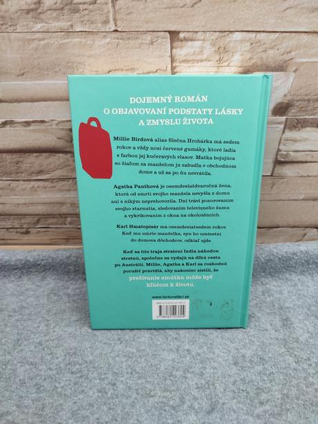 Stratení a nájdení - brooke davis, 