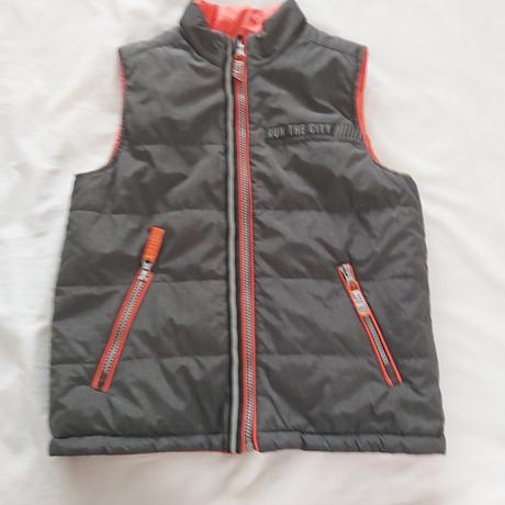 Vesta, coccodrillo,134