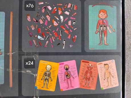 Magnetická stavebnica ľudské telo janod, 