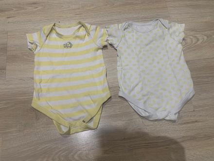 Body18az24mes, f&f,92