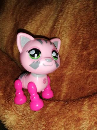 Mega creative mačička,