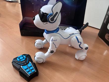 Robotický pes, 