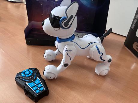 Robotický pes, 