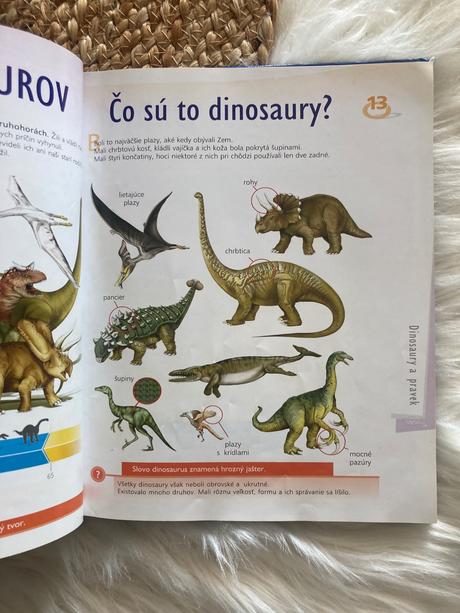 Ilustrovaná encyklopédia dinosaurov a praveku,