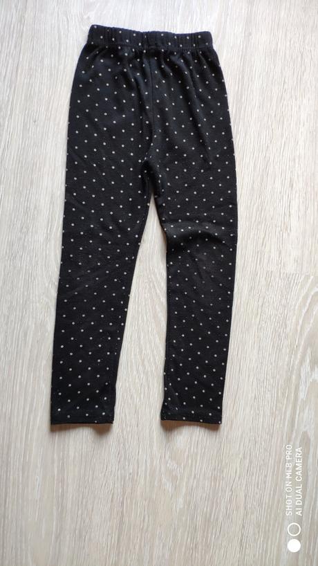 Teplejsie leginy, 110