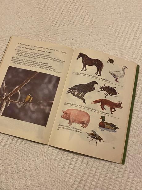 Prírodoveda 3 - pre 3. ročník základnej školy,