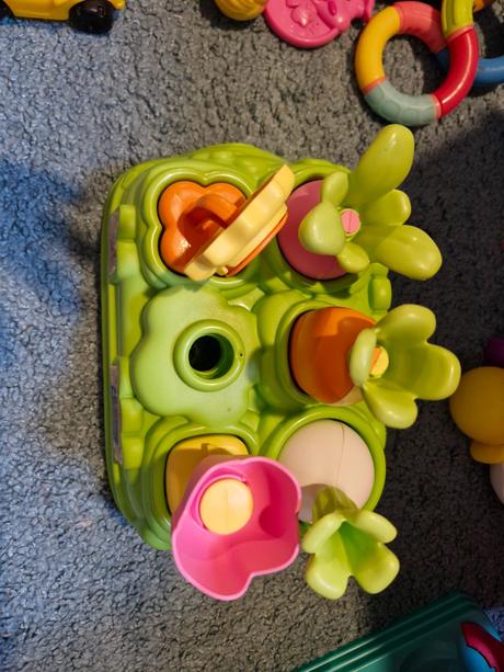 Vkladačka zelenina, 