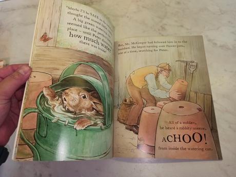The tale of a naughty little rabbit,