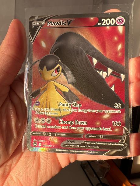 Pokemon elite trainer box,