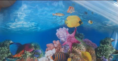 Tapeta obojstranná na akvárium, 