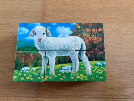 Plastové kocky - zvieratká 9ks, 