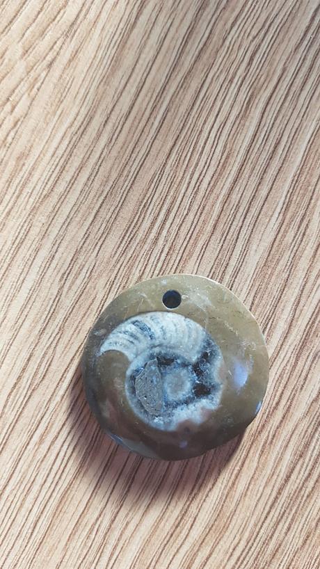 Skameneliny - mix pre milovnikov skamenelin,