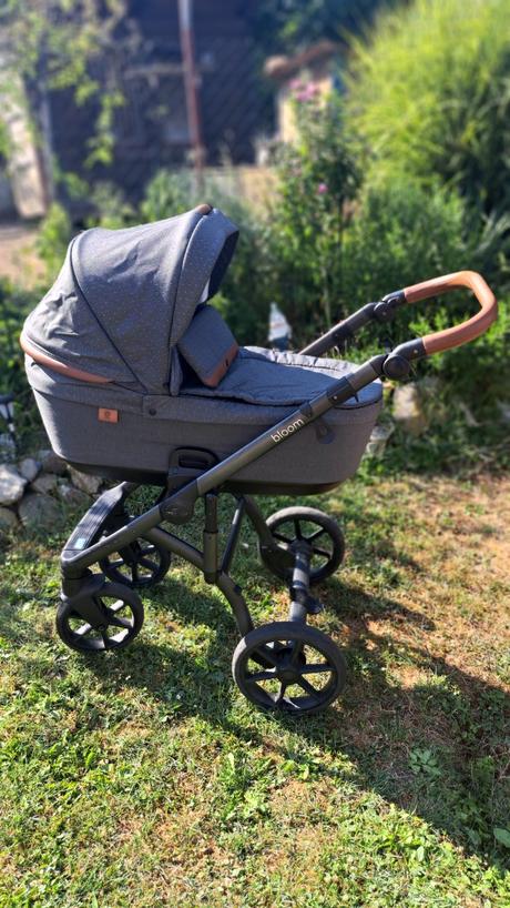 Kocik roan bloom, roan,roan bloom